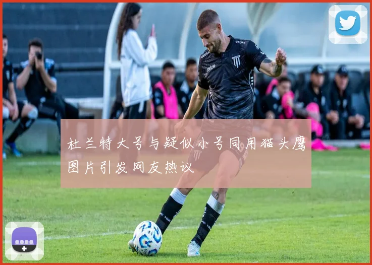杜兰特大号与疑似小号同用猫头鹰图片引发网友热议