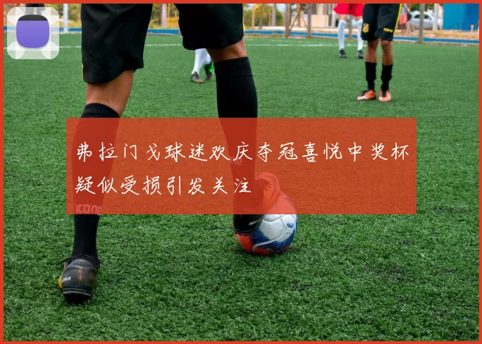 弗拉门戈球迷欢庆夺冠喜悦中奖杯疑似受损引发关注