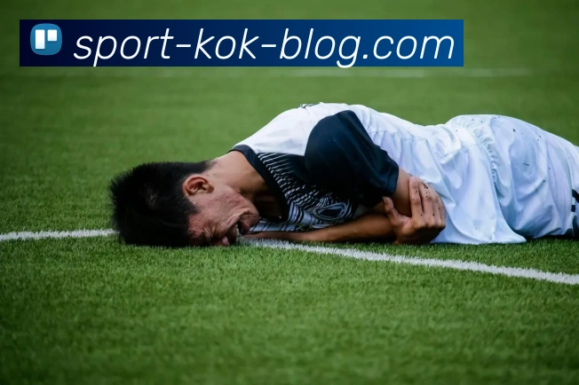 KOK体育平台生态图